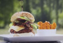 육류섭취와 기후위기? 대체육, 배양육, 온실가스