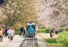 온가족이 가기 좋은 춘천 여행 코스 추천! 남이섬, 레고랜드, 글램핑장