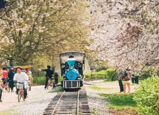 온가족이 가기 좋은 춘천 여행 코스 추천! 남이섬, 레고랜드, 글램핑장