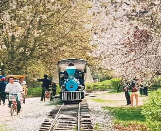 온가족이 가기 좋은 춘천 여행 코스 추천! 남이섬, 레고랜드, 글램핑장