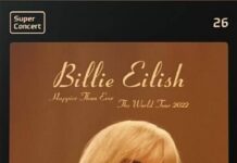 빌리 아일리시, 두 번째 내한공연