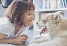 이것만은 꼭 알아두자! ‘2022 반려동물정책’