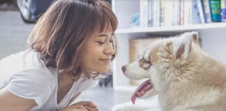 이것만은 꼭 알아두자! ‘2022 반려동물정책’