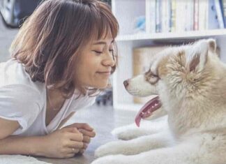 이것만은 꼭 알아두자! ‘2022 반려동물정책’