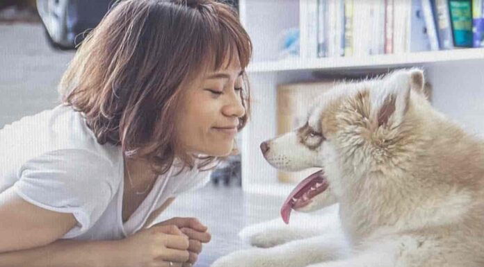 이것만은 꼭 알아두자! ‘2022 반려동물정책’