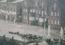 서울 115년만의 기록적인 폭우, 그 피해와 원인, 기후위기와의 연관성에 대하여