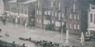 서울 115년만의 기록적인 폭우, 그 피해와 원인, 기후위기와의 연관성에 대하여