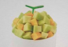 설빙 2022년 8월 인기메뉴 및 신메뉴 추천! 망고요거트메론설빙, 아임파인망고설빙, 요거통통메론설빙 등