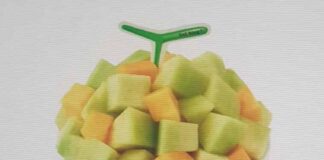 설빙 2022년 8월 인기메뉴 및 신메뉴 추천! 망고요거트메론설빙, 아임파인망고설빙, 요거통통메론설빙 등