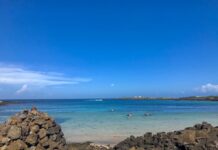 제주도 여행 갈 곳 추천. 우도, 블랑로쉐, 김창열미술관, 우호적무관심, 금오름, 아부오름, 시골길