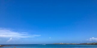 제주도 여행 갈 곳 추천. 우도, 블랑로쉐, 김창열미술관, 우호적무관심, 금오름, 아부오름, 시골길