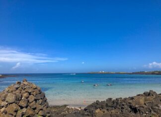 제주도 여행 갈 곳 추천. 우도, 블랑로쉐, 김창열미술관, 우호적무관심, 금오름, 아부오름, 시골길