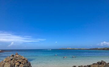제주도 여행 갈 곳 추천. 우도, 블랑로쉐, 김창열미술관, 우호적무관심, 금오름, 아부오름, 시골길