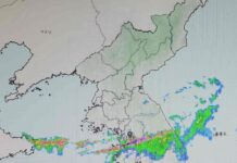 80년만의 기록적 폭우, 이수역 침수, 폭우 침수 피해 대비 방법