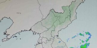 80년만의 기록적 폭우, 이수역 침수, 폭우 침수 피해 대비 방법