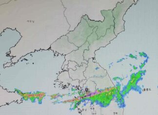 80년만의 기록적 폭우, 이수역 침수, 폭우 침수 피해 대비 방법