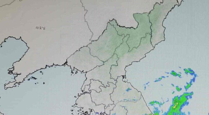 80년만의 기록적 폭우, 이수역 침수, 폭우 침수 피해 대비 방법