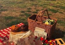 Z세대 한강 이용법, 한강공원