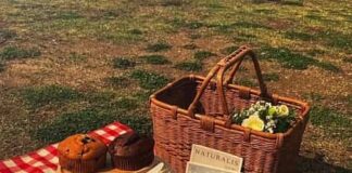 Z세대 한강 이용법, 한강공원