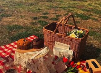 Z세대 한강 이용법, 한강공원