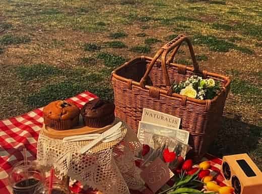 Z세대 한강 이용법, 한강공원