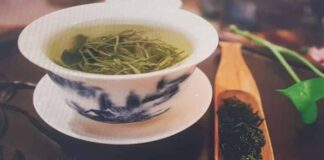 녹차 효능, 카페인, 부작용, 종류, 기원 등에 대하여 알아보자!