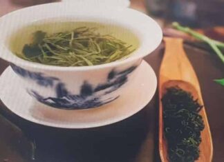 녹차 효능, 카페인, 부작용, 종류, 기원 등에 대하여 알아보자!