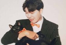 박수홍, 친형이 30년간 100억 횡령 구속 :: 사람이 아닌 악마