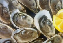 10월제철음식 환절기 건강을 지키자