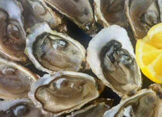 10월제철음식 환절기 건강을 지키자