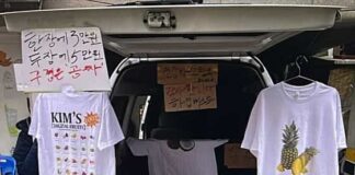 과일이 왜이리 비싸? MZ세대 열광하는 김씨네과일, 전국 방문 판매