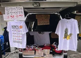 과일이 왜이리 비싸? MZ세대 열광하는 김씨네과일, 전국 방문 판매