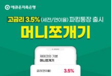 애큐온저축은행, 연 3.5% 금리 파킹통장 ‘머니쪼개기’ 출시