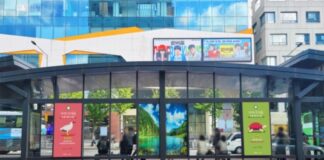 스프링샤인, 디샤인과 ‘서울 스마트쉘터 해양보호생물 영상 캠페인’ 진행