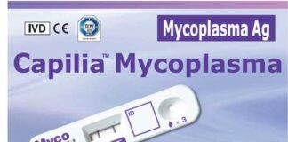 이뮨케어, 마이코플라즈마 폐렴 신속항원검사키트 국내 판매