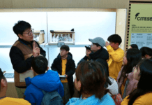 환경재단-DB손해보험, 클린어스캠프 성료