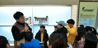 환경재단-DB손해보험, 클린어스캠프 성료