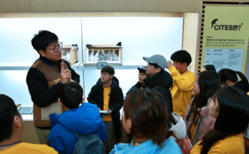 환경재단-DB손해보험, 클린어스캠프 성료