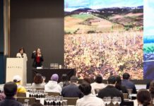 ‘2025 보졸레 와인 마스터 클래스’ 성료