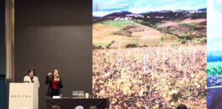 ‘2025 보졸레 와인 마스터 클래스’ 성료