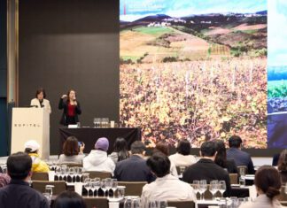 ‘2025 보졸레 와인 마스터 클래스’ 성료