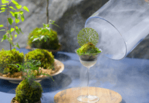 오이라세 계류 호텔 by 호시노 리조트, 안개 싸인 이끼 표현한 여름 디저트 ‘오이라세 이끼 파르페’ 선봬