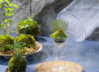 오이라세 계류 호텔 by 호시노 리조트, 안개 싸인 이끼 표현한 여름 디저트 ‘오이라세 이끼 파르페’ 선봬