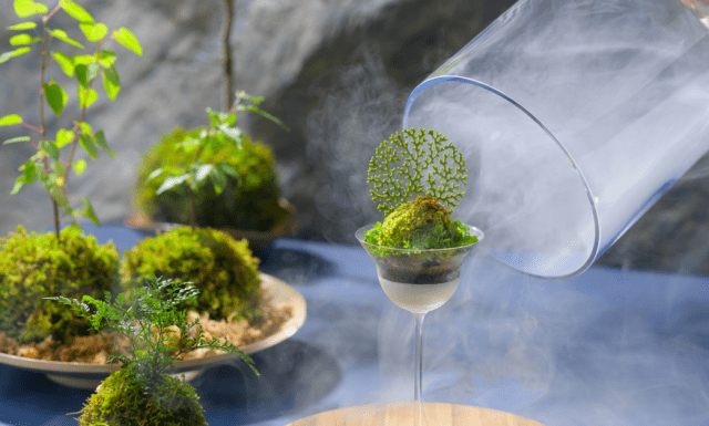 오이라세 계류 호텔 by 호시노 리조트, 안개 싸인 이끼 표현한 여름 디저트 ‘오이라세 이끼 파르페’ 선봬